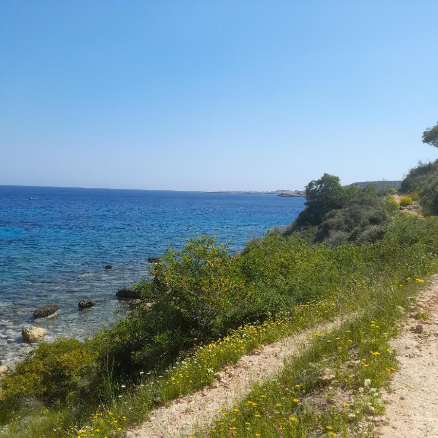 Marias Villa Протарас Экстерьер фото
